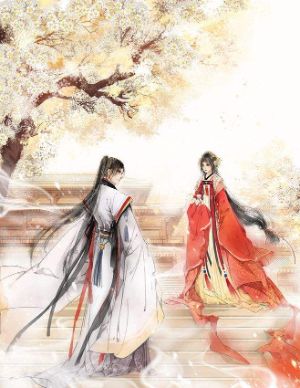 陆明轩傅川苏念[我跟前妻离婚后]精彩节选推荐